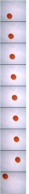 Sample image data - nine differently positioned balls